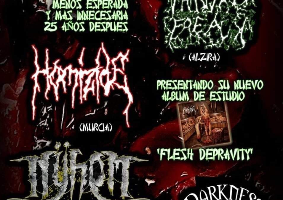 VHRUTAL FREACK + HOMIZIDE + NŸHEM 27/09/24 PUB DARKNESS, SEDAVÍ (VLC)