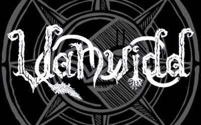 ENTREVISTA CON VANVIDD (NOR)