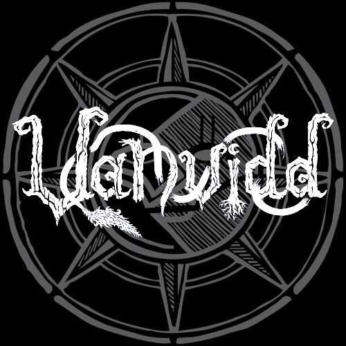 INTERVIEW WITH VANVIDD (NOR)